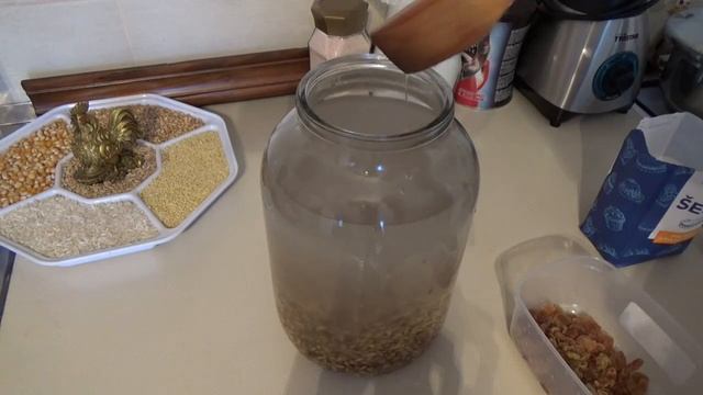 ОВСЯНОЙ КВАС и ЩЕЛОЧНАЯ ВОДА / KVAS od OVSA i ALKALNA VODA смотреть онлайн