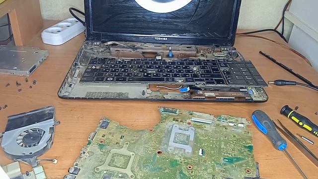 КОТ залил ноутбук. TOSHIBA l750d - 112. Жесть, сервис отказался прикосатся. смотреть онлайн