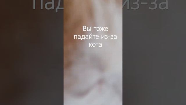 20 мая 2022 г. смотреть онлайн