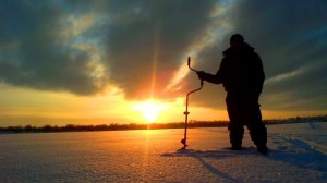 Так КАЙФОВО зимой я ещё не ловил! #shorts #окунь  #рыбалка