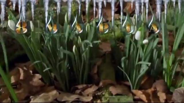 Лучшее Поздравление с 8 Марта!!! смотреть онлайн