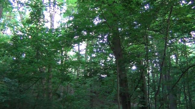 15. Умань, Софиевский парк, музыкальный фонтан и Краеведческий музей. Последний день путешествия. смотреть онлайн