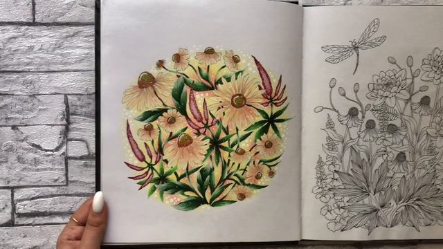 Раскрашенное за месяц | ИЮНЬ 2022 | Раскраски Антистресс смотреть онлайн