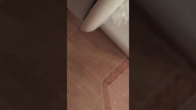 ЧИСТИМ С ДЕДУШКОЙ КАРАСЕЙ часть 2 ФИНАЛ life video смотреть онлайн