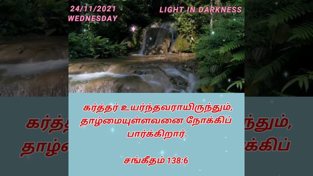 Today's Light | God Respects The Lowly | Psalms 138 : 6 смотреть онлайн