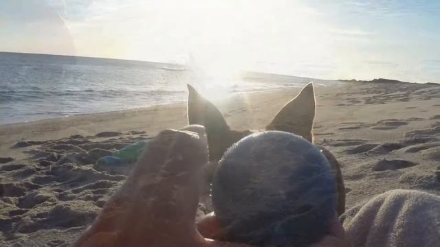 Perl and Ruby on beach смотреть онлайн