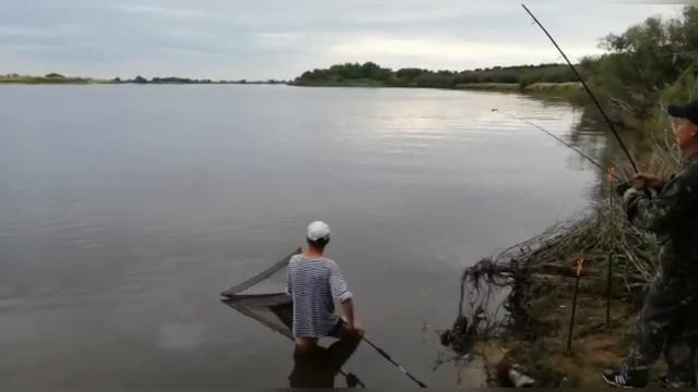 Хабаровск. Личный Рекорд по сазанам. Петропавлавка 2020. Как я сломал фидер Дайва смотреть онлайн