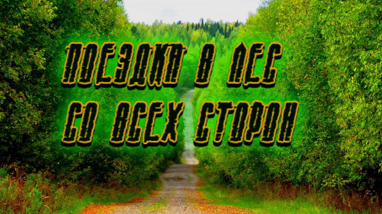 ПОЕЗДКА В ЛЕС СО ВСЕХ СТОРОН: ? смотреть онлайн