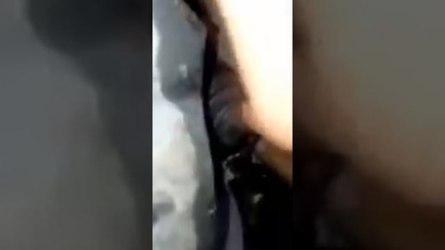 Механический балет