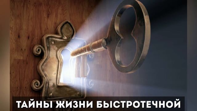 Гимн "Я Писанья изучаю" смотреть онлайн