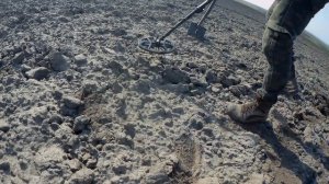 Minelab Vanquish 440: Обзор и коп от Аркадия (Приборный поиск как хобби). Покупал в Проф-Искателе