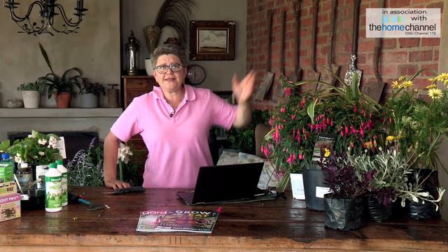 Tried and Tested Perennials Masterclass with Tanya Visser смотреть онлайн