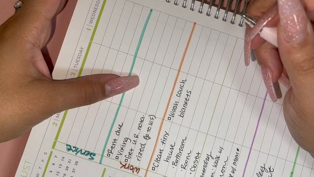 Plan with me in my plum paper planner / weekly spread / Nicole Paez смотреть онлайн