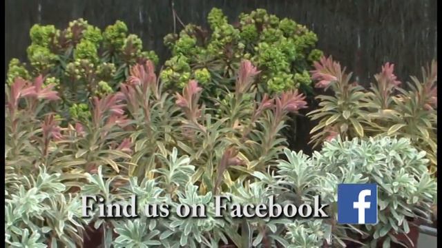 Garden Time show 7 4-16-16 смотреть онлайн
