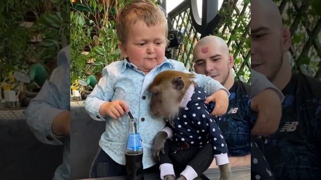 Хасбик Брюс Ли смотреть онлайн