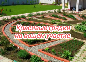 Красивые грядки на вашем участке