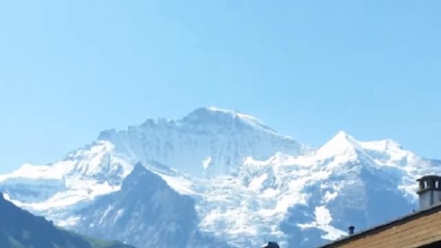 Wengen Bellevue Hotel смотреть онлайн