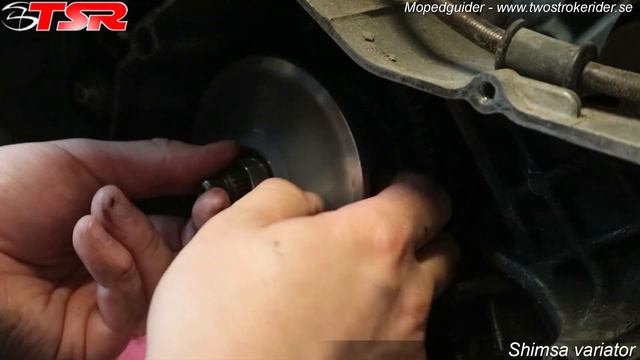 Rexxy Visar Hur Man Shimsar En Variator