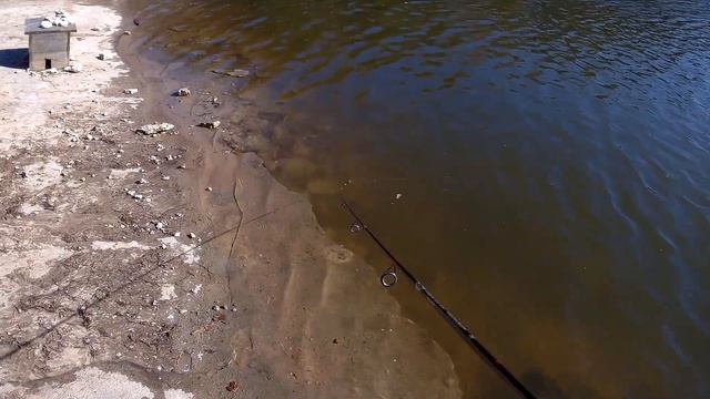 Рыбалка в Тверской области 1. Платник у Иваныча смотреть онлайн