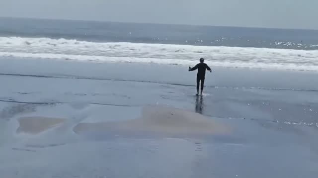 SNOWAVE SURF SCHOOL | Рубрика 