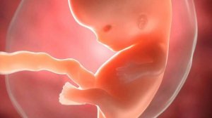 МЕДИТАЦИЯ: ПРАВИЛЬНЫЙ НАСТРОЙ НА СЧАСТЛИВУЮ БЕРЕМЕННОСТЬ и РОДИТЕЛЬСТВО ПСИХОЛОГ ГАЛИНА АМЕТОВА