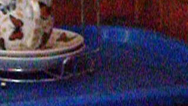 крыса не кого не боится! смотреть онлайн