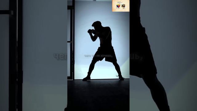 8 фраз по жизни. смотреть онлайн