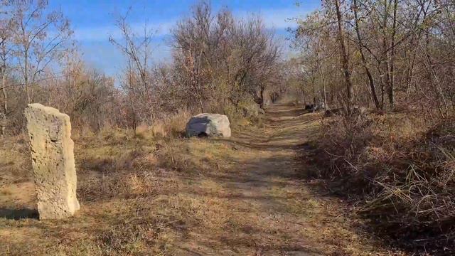 Влог : День с нами 🌞Запорожье, Хортица , Дубовая Роща 🌞 смотреть онлайн