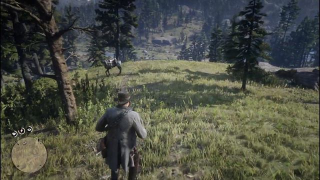 Red Chestnut Arabian Horse For Beginners Red Dead Redemption 2
