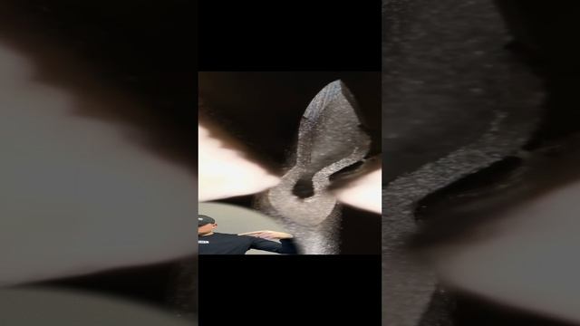 Объектная съемка. Зум, увеличенная съемка, объектная макро съемка #макровидео #shorts #zoom #макро смотреть онлайн