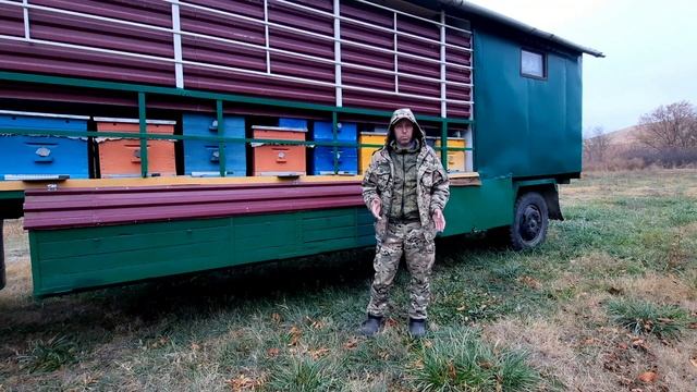 Изоляция маток,кто за? кто против!