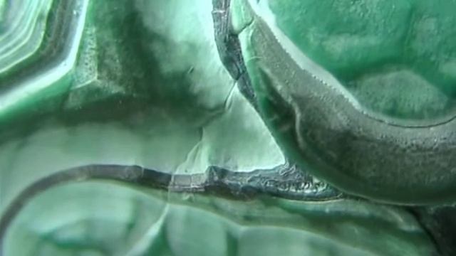 my pet rock смотреть онлайн