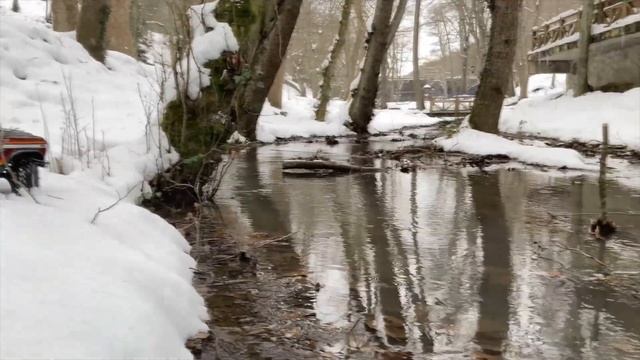 Traxxas TRX4 Bronco 1979 SNOWY FOREST Run смотреть онлайн