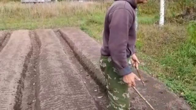 Делаем насыпные грядки,высаживаем клубнику, накрываем погреб. смотреть онлайн