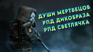 ПОДРОБНЫЙ ГАЙД НА РПД ДИКОБРАЗА / СВЯТЛИЧКА | ДУШИ МЕРТВЕЦОВ | STALCRAFTX #game #stalcraftx #RMRP