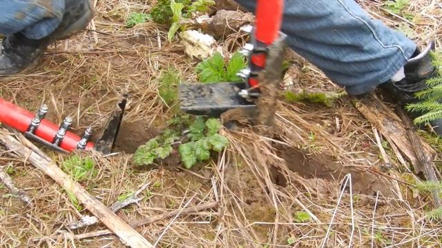 Борьба с борщевиком. Авторское решение смотреть онлайн