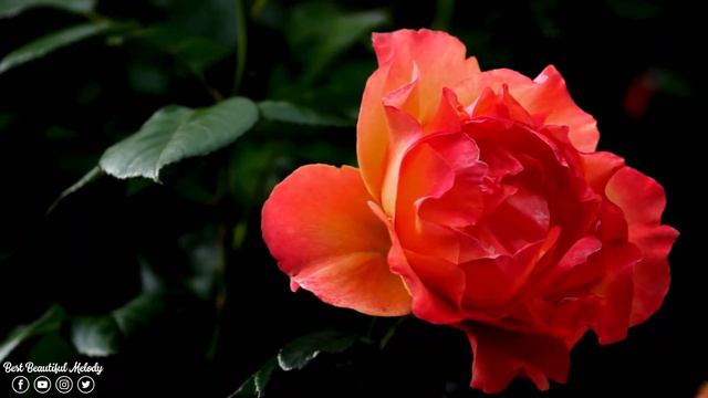 ЛУЧШАЯ МУЗЫКА ДЛЯ ДУШИ💖Послушайте эту музыку и вам станет легче! Sergey Grischuk! смотреть онлайн