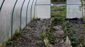 Черный укрывной в теплице работа на 5+