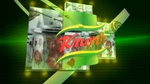 Unilever  Logo Animation