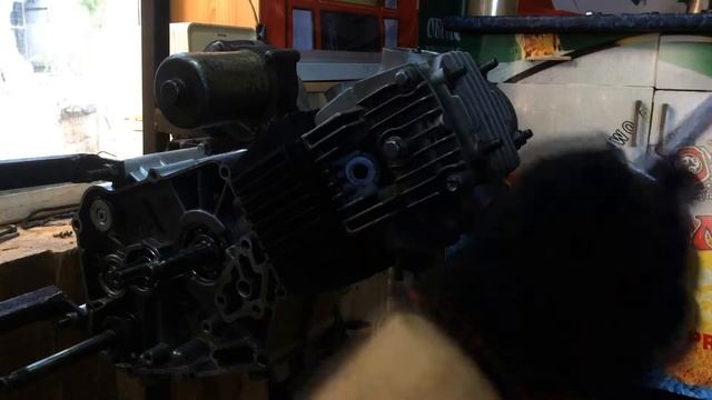 Разборка двигателя альфа-дельта 110сс смотреть онлайн