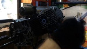 Разборка двигателя альфа-дельта 110сс