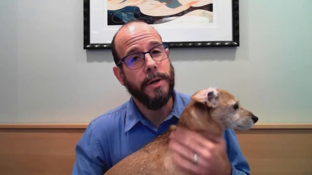Chris Barton | How to Make a Book (About My Dog) Outtakes смотреть онлайн