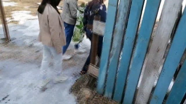 Весь день НА ДАЧЕ друзей / ЖАРИМ шашлыки / ПРАЗДНУЕМ день рождения мамы? смотреть онлайн