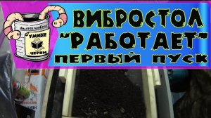 Бизнес идея  Разведение червей - ДЕНДРОБЕНА! Вибростол для просеивания! (первый запуск)