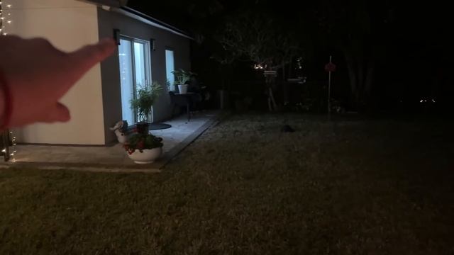 Вечер у Алены продолжается… везде чудеса! #натальяфальконе #сша #русскиевсша смотреть онлайн