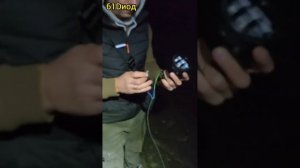 Как переключать режим на двухрежимных птф. Противотуманные фары два режима #led #автосвет #61dиод
