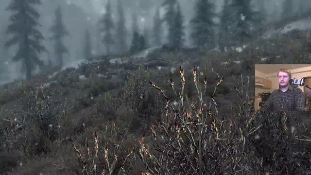 Skyrim Dark Brotherhood (001) смотреть онлайн
