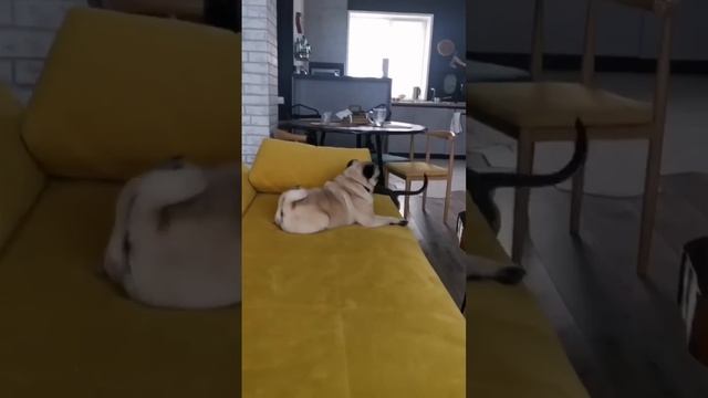 Обнаружен нарушитель! смотреть онлайн