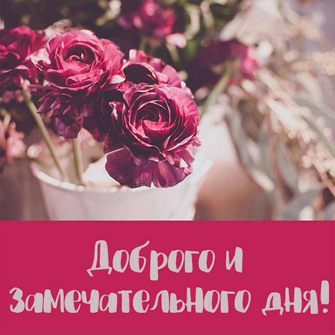 ❤️ Доброе утро!❤️Пусть день будет ясным. Хорошего дня! Пожелание доброго утра.