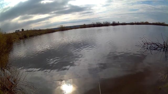 Небольшое видео с Металплащадки. смотреть онлайн